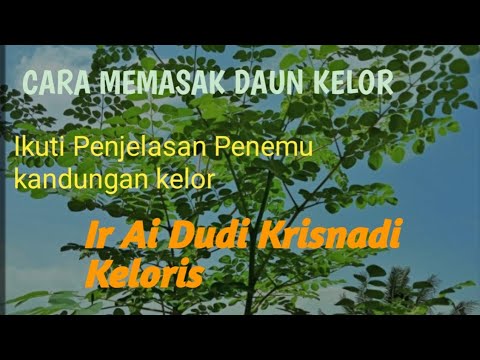 Cara memasak daun kelor manfaat kandungan gizi 
