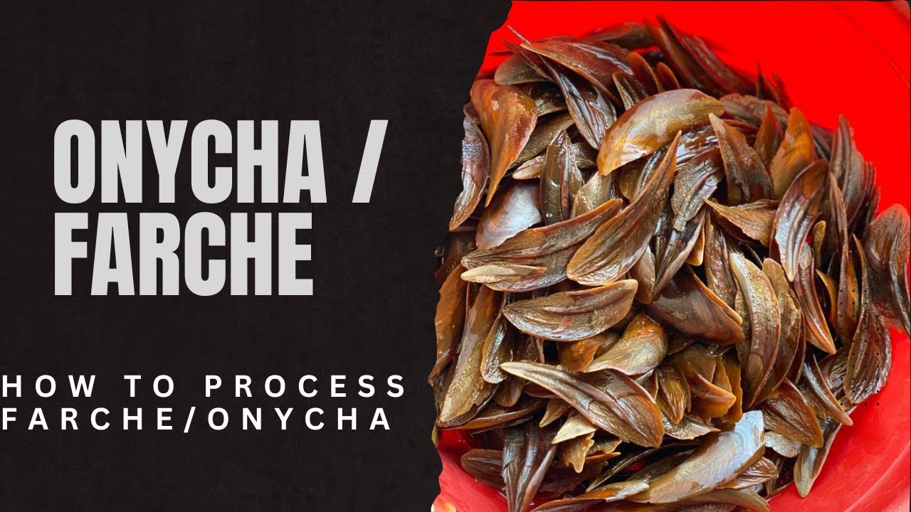 Пошаговая инструкция по приготовлению Farce/Onycha/Dufr / YANDA AKE HADA TURAREN FARCE Часть 1