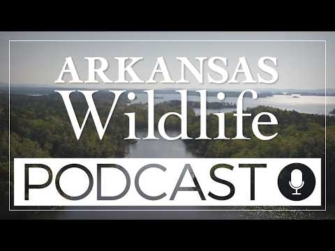 Arkansas Wildlife Podcast Ep.96: From Drain to Gain - The Lake Monticello Story