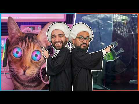 اختار بنفسك مين يكسب في الفيديو ده 😂❤️ رُكنة تشيك - Rokna Check