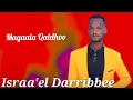 Israa El Darribbee Magaala Qaldhoo New Oromoo Video Music 2025