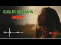 🎵 Reggae For Anxiety Relief – Calm Your Mind With Deep Roots Healing
