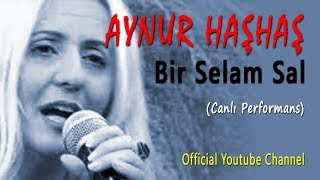 Aynur Haşhaş - Seyyah Olup & Bir Selam Sal (Canlı Performans)