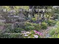 【4月】植えっぱなしで何年も咲く宿根草10選/新しい小道作り/望む世界へ...