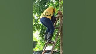 huli sa my ari pero di kulong #viralvideo #subscribe #like 