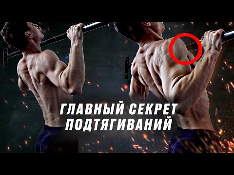 Как стать МАСТЕРОМ подтягиваний? Главный секрет!