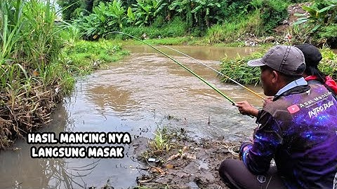 Saat semua sungai sudah mulai banjir,saya coba mancing di rawa rawa kecil pinggir jalan raya