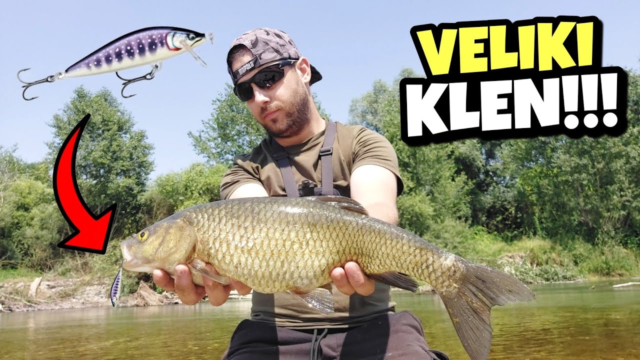 Pecanje KLENA na Rapalu !!! Odlična Varalica za velike Klenove !!!