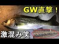 【若洲海浜公園】GW到来！激混みの若洲でシーバスを狙う！【2018.05.01】
