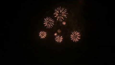 SIX INCH SHELL - MULTI BROCADE CROWN EFFECT #EpicFireworks