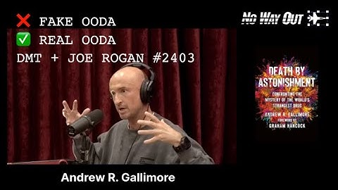 The REAL OODA Loop Explained: DMT, World Models & Joe Rogan #2403 (Andrew Gallimore)