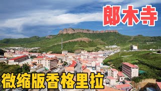 AL213集：甘南微缩版的“香格里拉” ，阿龙带大家逛逛，川甘两省一起管辖的小镇「Eng Sub」