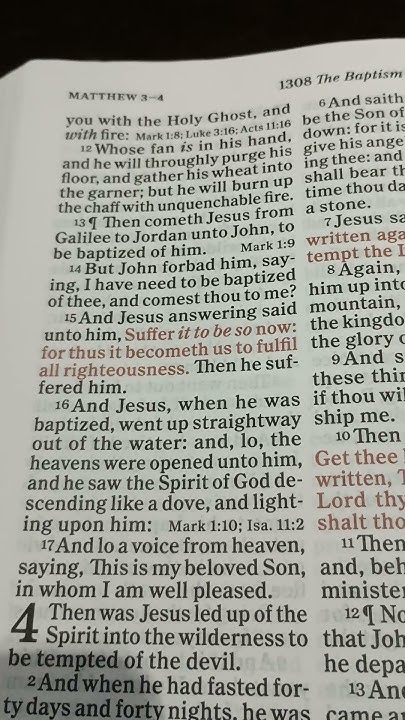 Bible Reading Mathew Chapter 3 Verse 13 17 YouTube bible-reading-mathew-chapter-3-verse-13-17-youtube