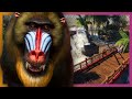 🦁 Mandrill Rainforest Exhibit | Planet Zoo Beta