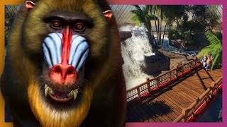 🦁 Mandrill Rainforest Exhibit | Planet Zoo Beta screenshot 2