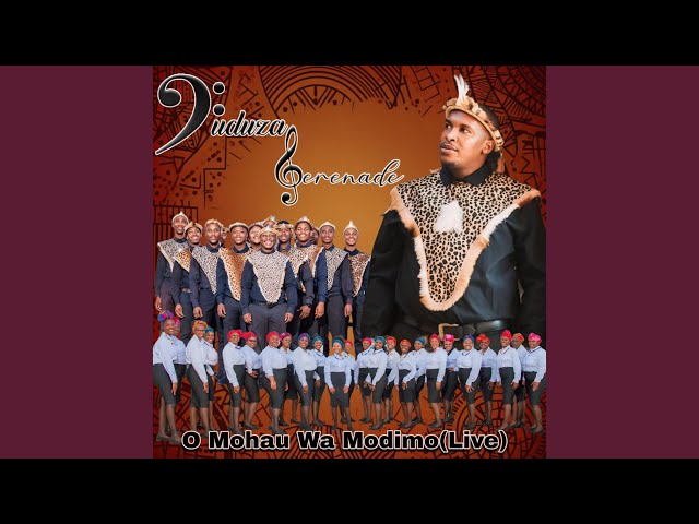 O Mohau Wa Modimo (Live)