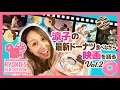 ミスドとクリスピークリームドーナツのバレンタイン限定ドーナツを食べ比べながら、最新映画について語ってたら泣き出す動画