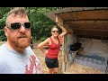 Simple Solar setup and our DIY solar shed | Off Grid Cabin in Northern Michigan