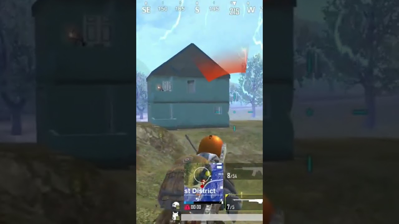 AWM Headshot chicken dinner