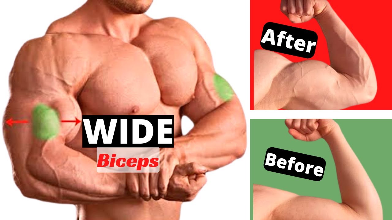 10 Best Biceps Exercises YouTube