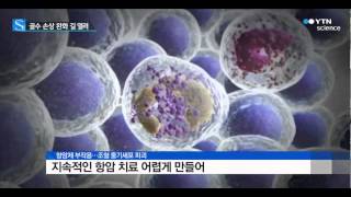 항암제 부작용 '골수 손상' 완화 물질 발견 / YTN 사이언스