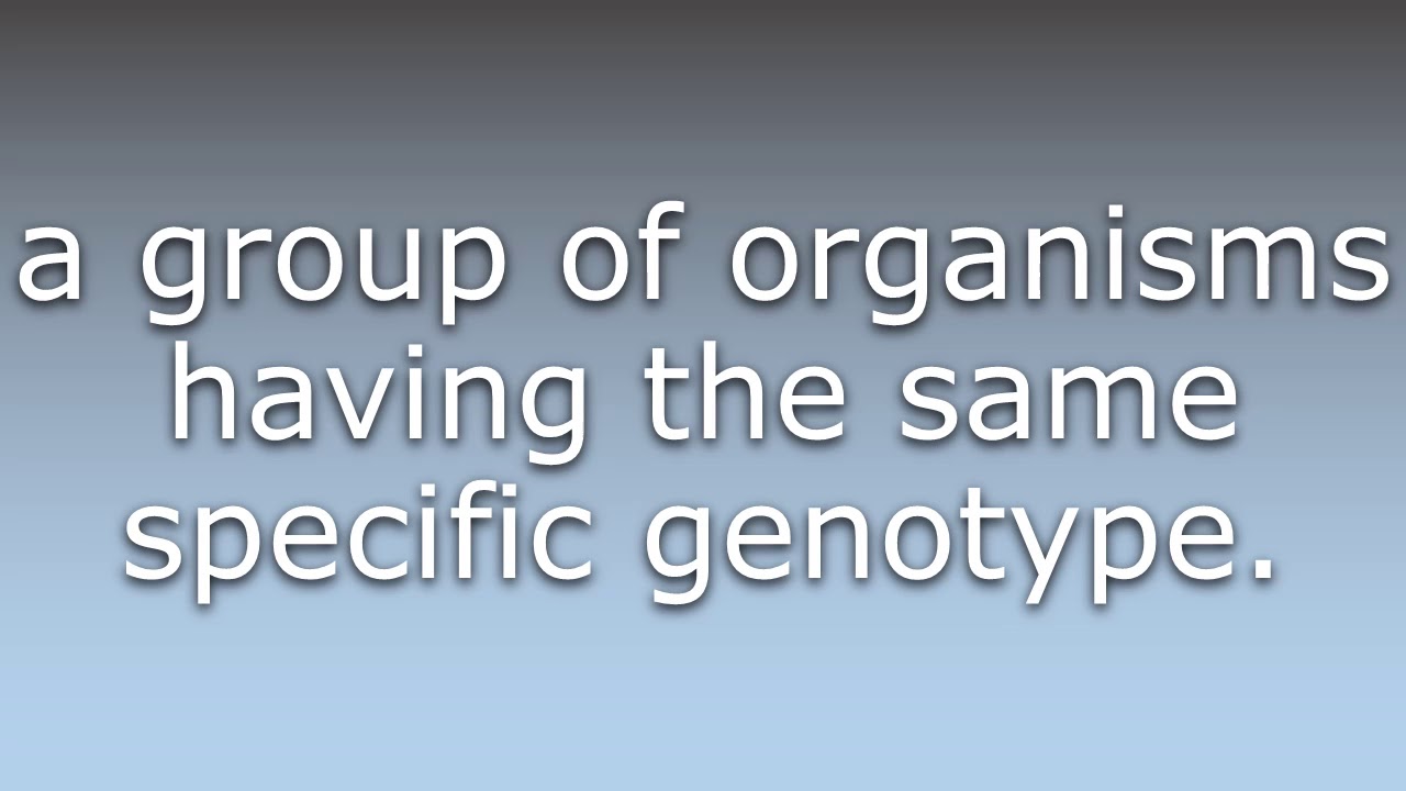 What does Biotype mean?