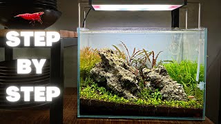 AQUASCAPING TUTORIAL FOR BEGINNERS 🍀 RED CHERRY SHRIMP TANK 🍒