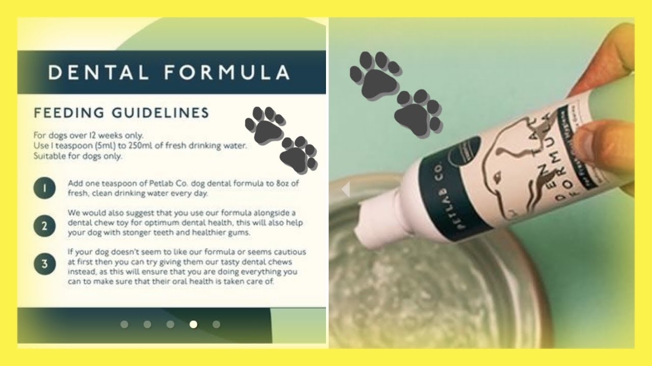 Petlab Co . Dental Formula petlabco dentalfomula dogsNcats shorts review YouTube