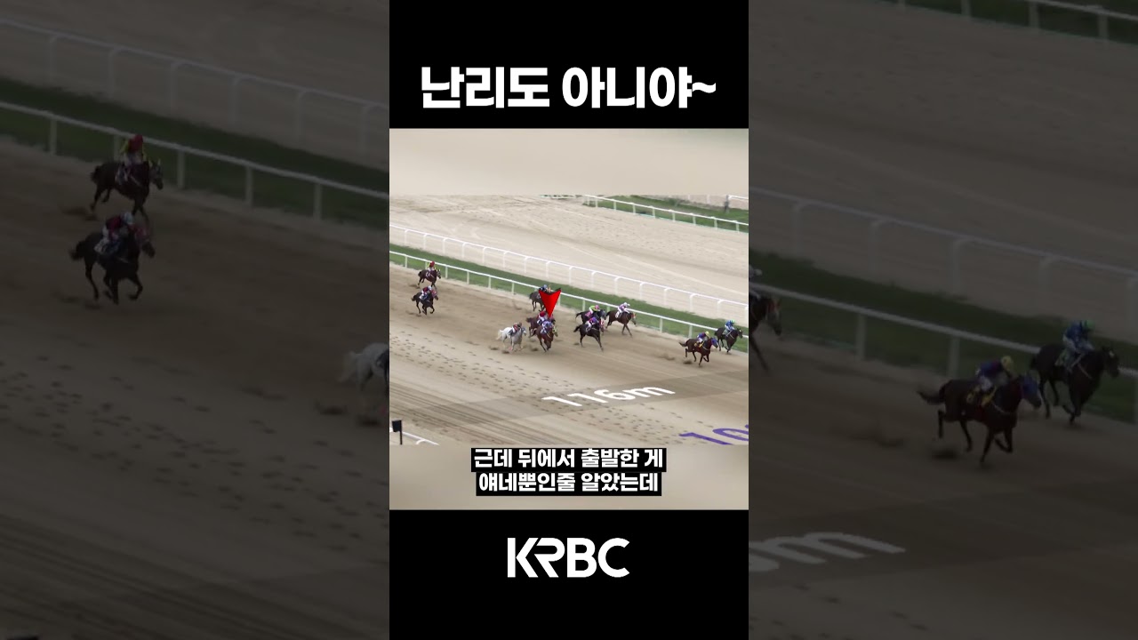 이게 뭐야?? 난리도 아니야~ #shorts #경마방송 #기수 #경주마 #경마 #KoreaHorseRacing