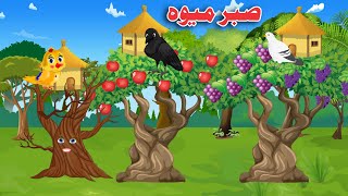 Sabar Mewa |Pashto Cartoon | Khan Birds Story Cartoon