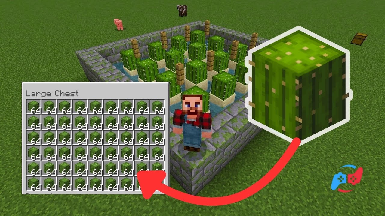 Easy Cactus Farm Minecraft Bedrock 1.21 | Nintendo Switch
