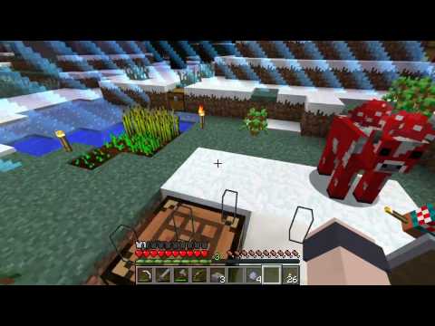 Minecraft - Captive Minecraft 4 #4: Evil Silverfish