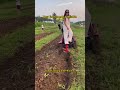 Your farm needs a reliable helper #tractor #minitractor #agricultura #machine #multipurpose