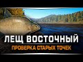 Лещ Восточный. Проверка старых точек — Русская Рыбалка 4