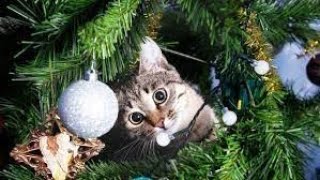 Мой Распорядок Дня Подготовка К Нг