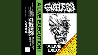 Boiled Alive