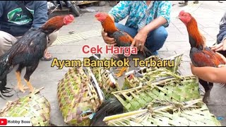 Update Terbaru Harga Ayam Bangkok di Pasar Ayam No.1  Di Jakarta