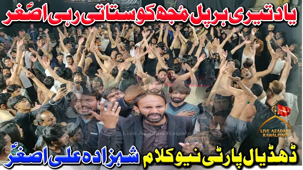 Dhudial Party New Kalam 2026 |Yaad Tere Har Pal Mujh K Satati Rhi Asghar Nohay 2026|Sajjadia Dhudial