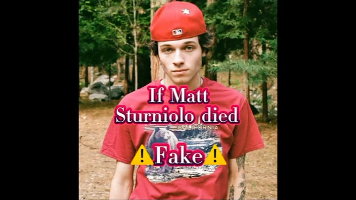 #mattsturniolo #chrissturniolo #nicksturniolo #stagesofgrief #sturniolos