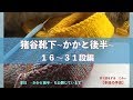 猪谷靴下④~かかと後半~ １６−３１段編【本日の手芸】today's handicraft