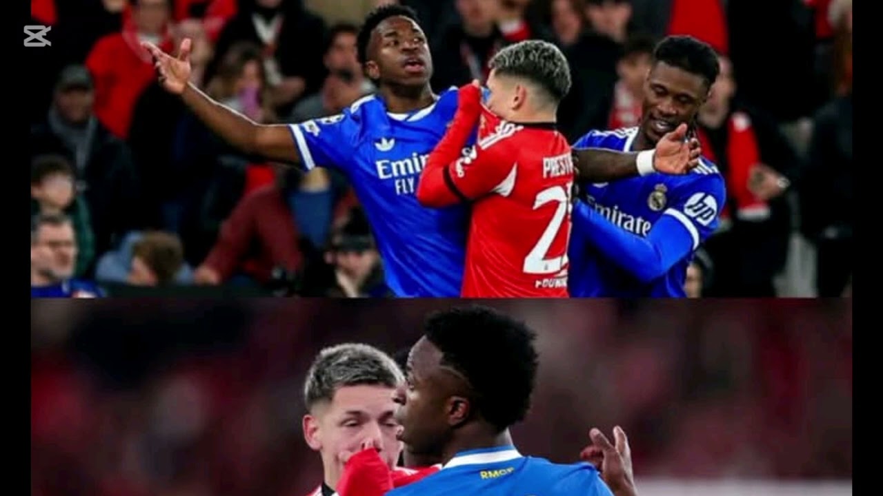 ቪኒሺየስ እና የአውሮፓ ሜዳዎች 