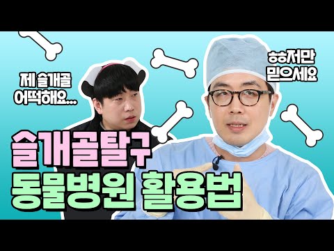가장 비싼 슬개골 수술, 동물병원 200% 활용하는 팁!