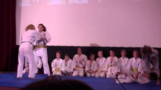 Judo Show Veselí Nad Moravou