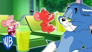 Мульт Tom Jerry The Emerald City Makeover WB Kids