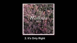 Top 3 Best Wallows Songs