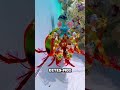 #pêcheàlacarpe #animaux #fishing #thon #pêcheenmer #fish #poisson #poissons #aquarium