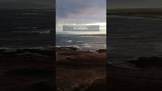 Ain't that the truth!  #motivation #success #motivationshorts #inspiration