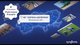 Огляд демо поля Тов "Сингента" на базі господарства ТОВ "ФГ Євгена Шелепіни" станом на 24.04.2024р