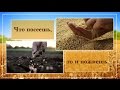 Проповедь Что посеешь то и пожнёшь Андрей П Чумакин 