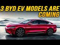 Three BYD EV Models Are Coming In Q4 | Tang, Han, And Atto 3